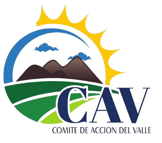 Comité de Acción del Valle